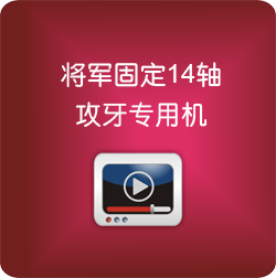 将军固定14轴攻牙专用机